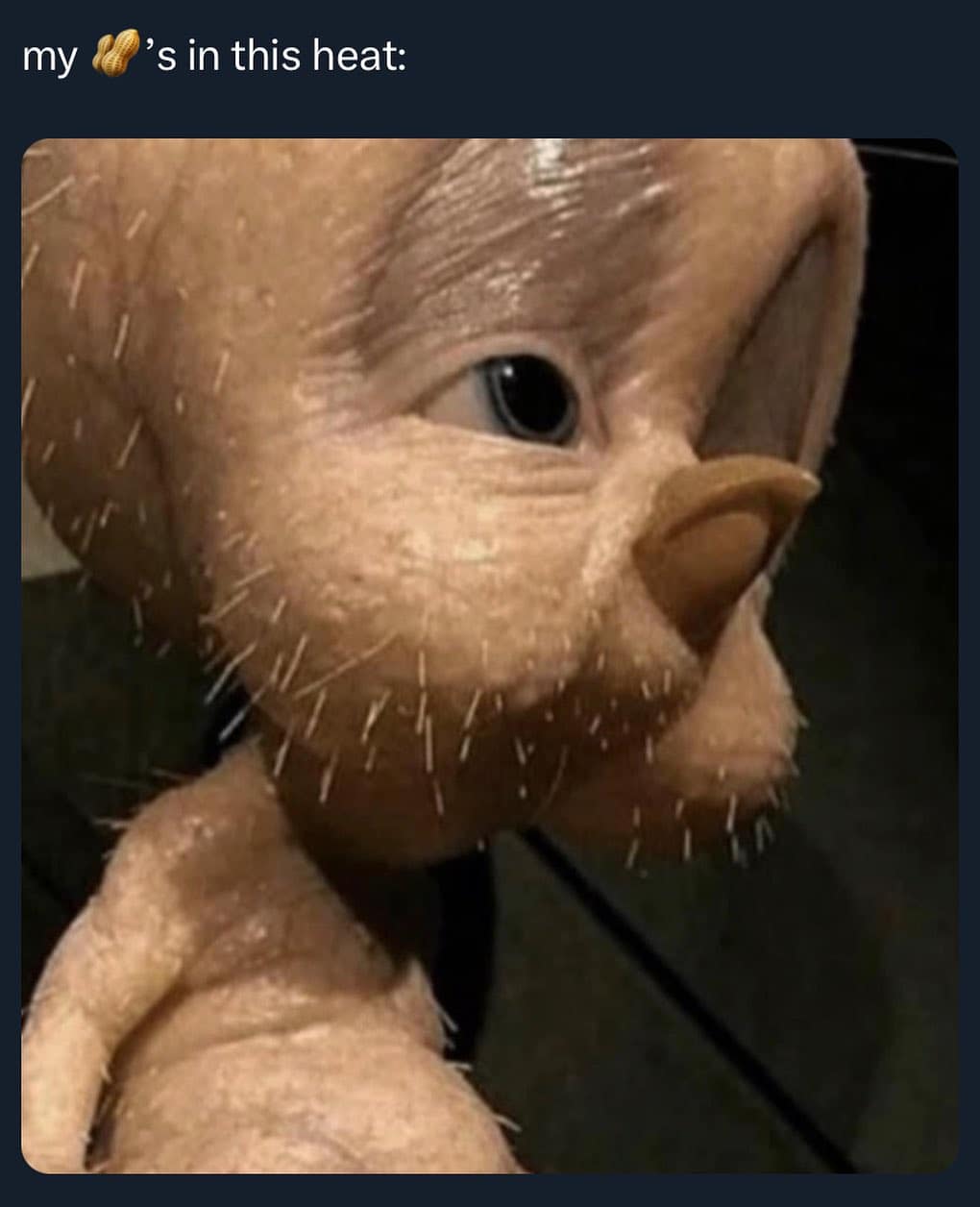 meme dump, funny memes, hilarious memes, funny tweets, meme compilation, meme gallery, dank meme