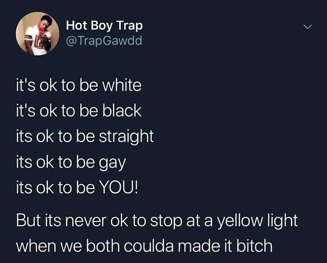 meme dump, funny memes, hilarious memes, funny tweets, meme compilation, meme gallery, dank meme