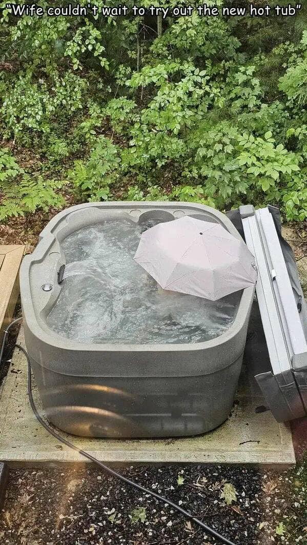 meme dump, hilarious memes, funny memes, Random Memes, Daily Laughter, hilarious meme collection, humor break, internet laughs