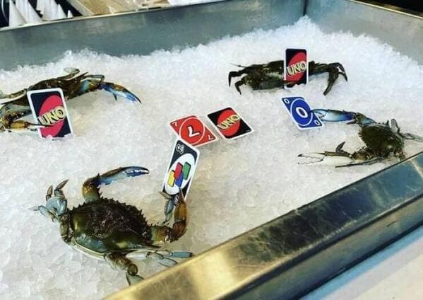 meme dump, hilarious memes, funny memes, Random Memes, Daily Laughter, hilarious meme collection, humor break, internet laughs