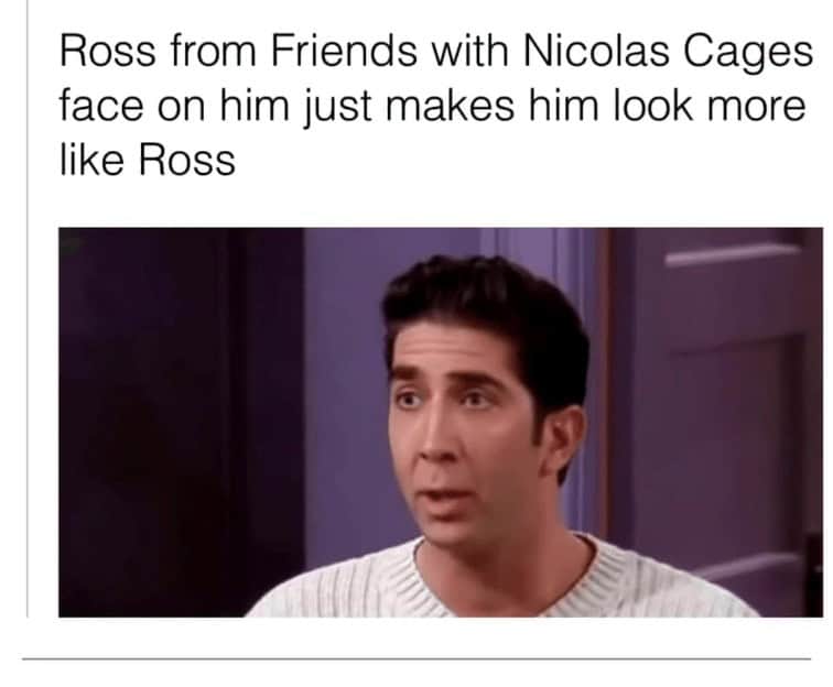Nicholas cage memes. Ross from Friends with Nicolas Cages face on him just makes him look more like Ross