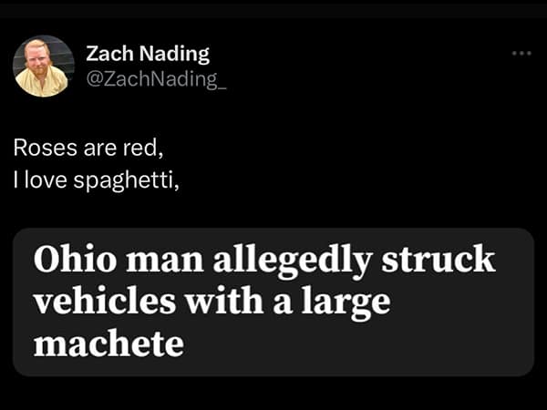 Ohio memes. Roses are red, I love spaghetti, Ohio man allegedly struck vehicles with a large machete