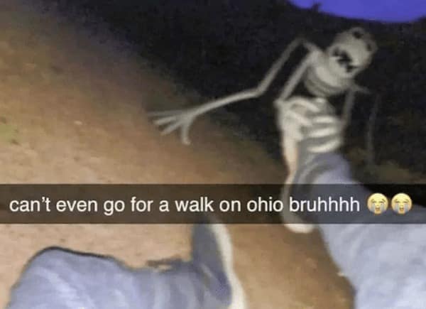 Ohio memes. can't even go for a walk on ohio bruhhhh