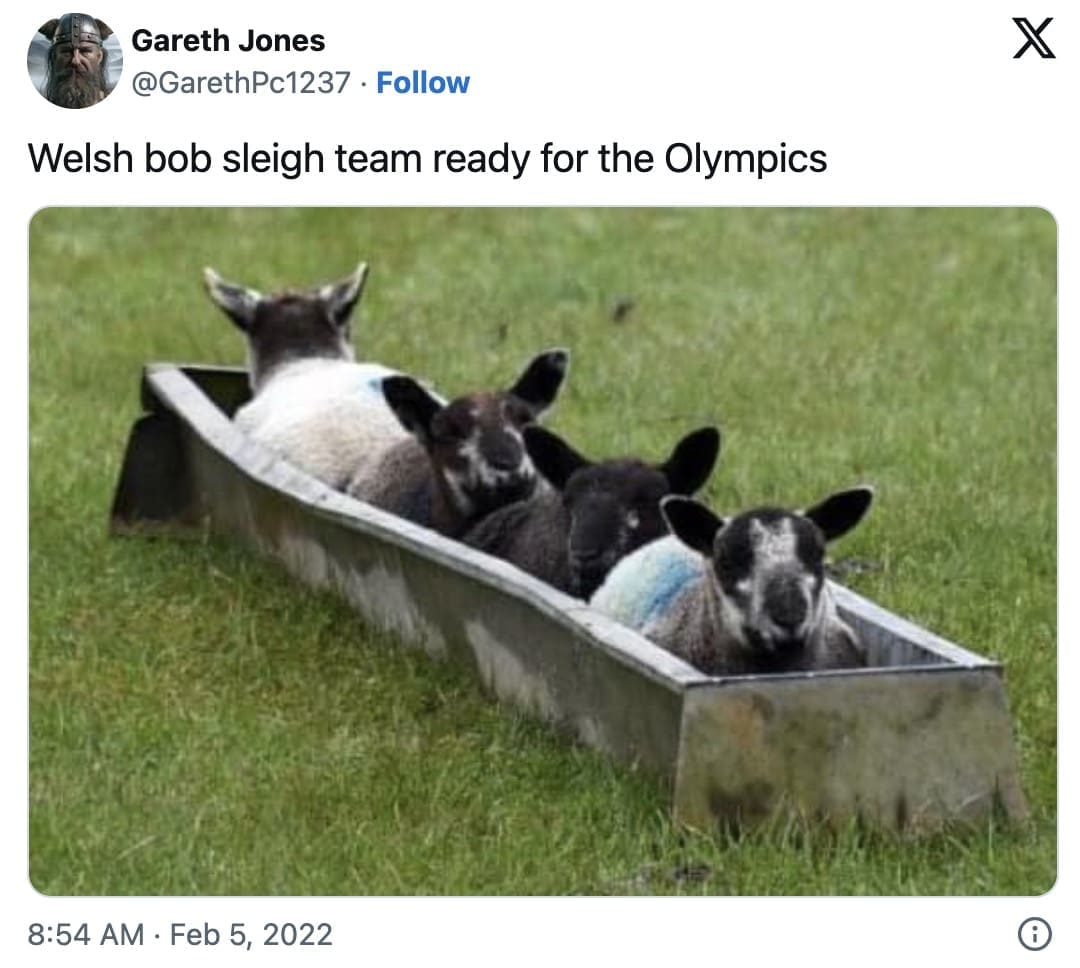 Olympics meme, olympics memes, funny Olympics moments, Summer Olympics 2024, sports memes, Olympic humor, athletic memes, game day laughs, olympic memes