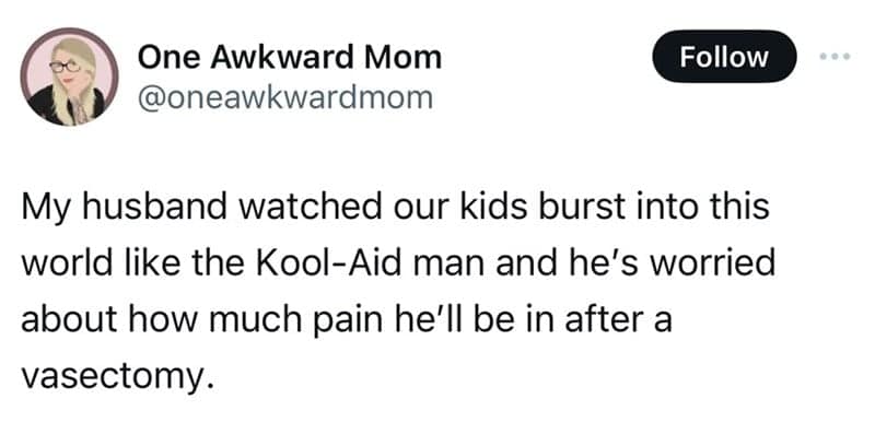 parenting memes, parenting tweets, comedic family quips, chuckle-inducing mommy memes, hilarious dad jokes