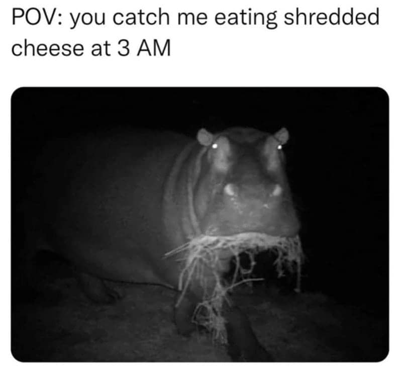 picky eater memes, hilarious dining experiences, foodie humor, hilarious food jokes, amusing eating memes, culinary jokes, food lover memes