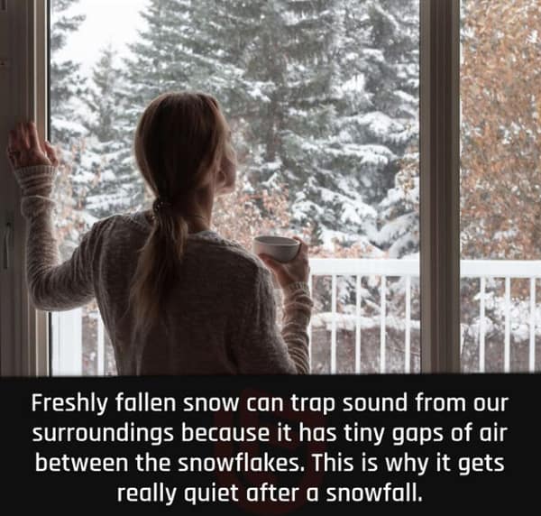 random facts, tidbits, knowledge