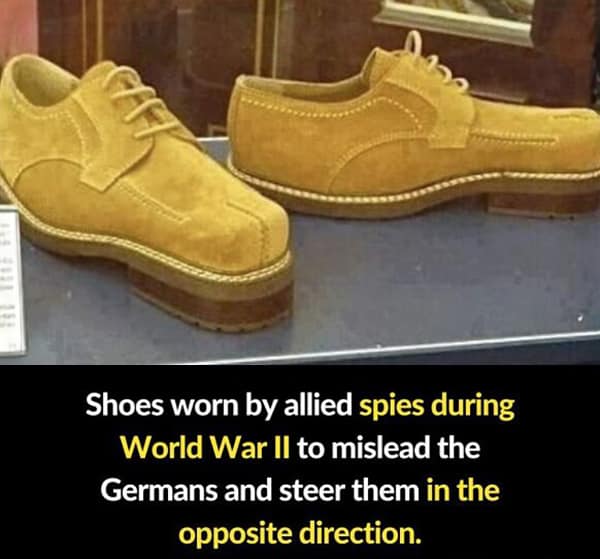 random facts, tidbits, knowledge