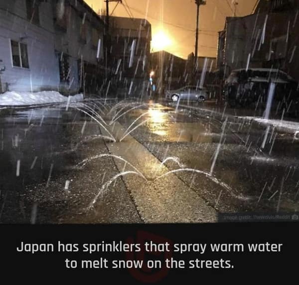 random facts, tidbits, knowledge