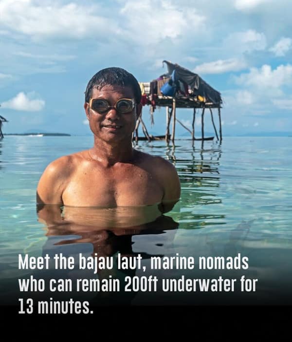 random facts, tidbits, knowledge