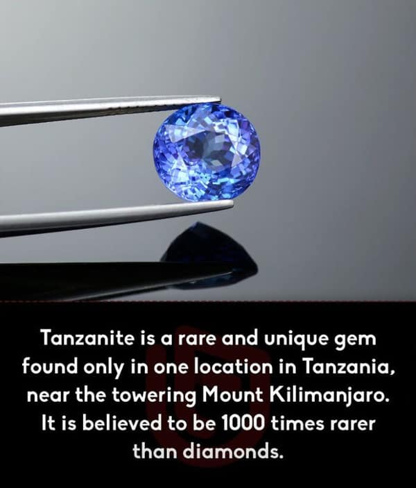 random facts, tidbits, knowledge