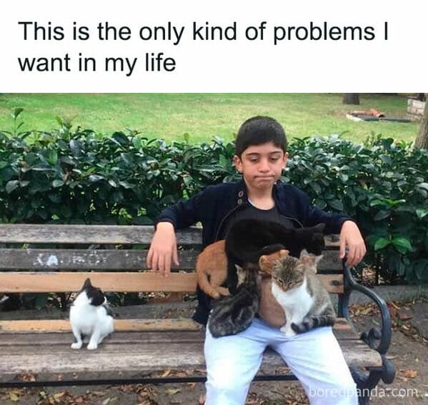 relatable memes, Funny Memes, Hilarious Memes, Amusing Memes