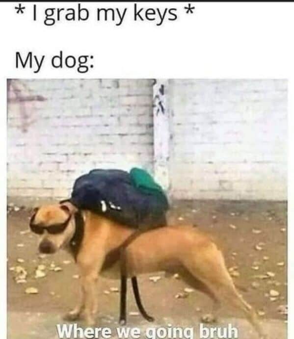 relatable memes, Funny Memes, Hilarious Memes, Amusing Memes