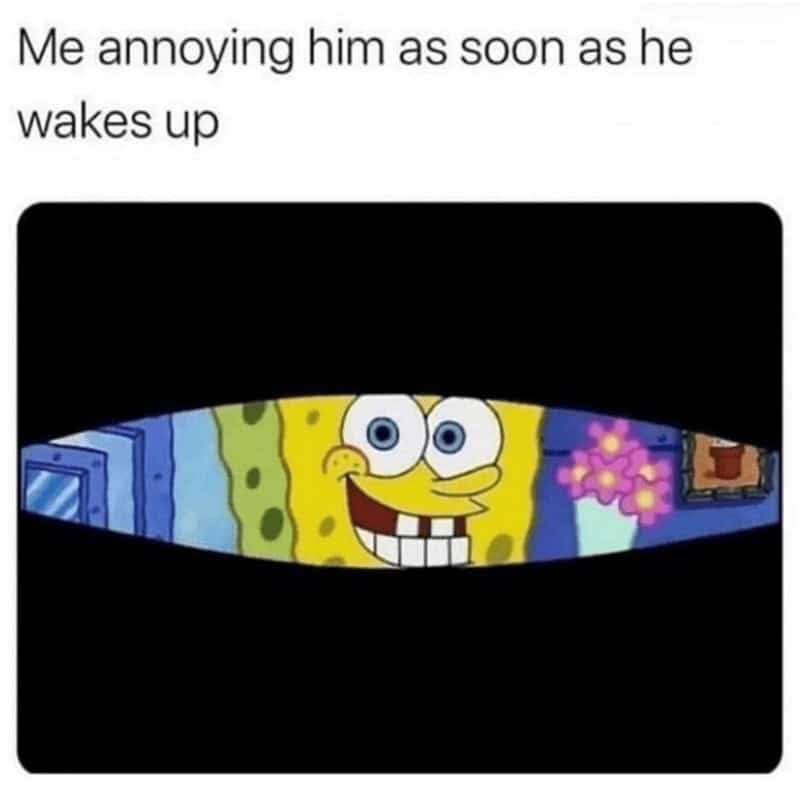 relationship memes, couple memes, Funny Relationship Memes, Couples Memes, Love Life Memes, Romantic Comedy Memes, Partnership Humor, Significant Other Jokes