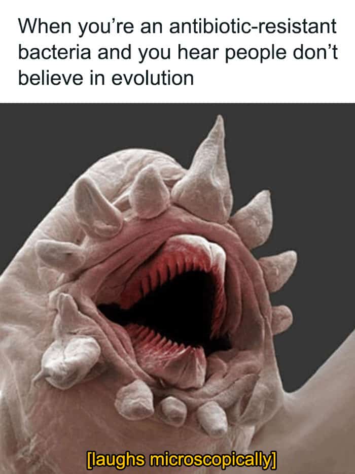 science memes, Funny Science Stuff, Hilarious Lab Antics, Scientific Humor, Nerdy Laboratory Jokes, Science Jokes and Puns, Researcher Riddles