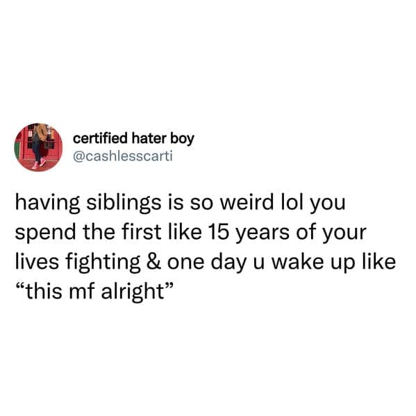 sibling memes. having siblings is so weird lol you spend the first like 15 years of your lives fighting & one day u wake up like "this mf alright"
