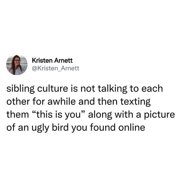 sibling memes. sibling culture is not talking to each other for awhile and then texting them "this is you" along with a picture of an ugly bird you found online