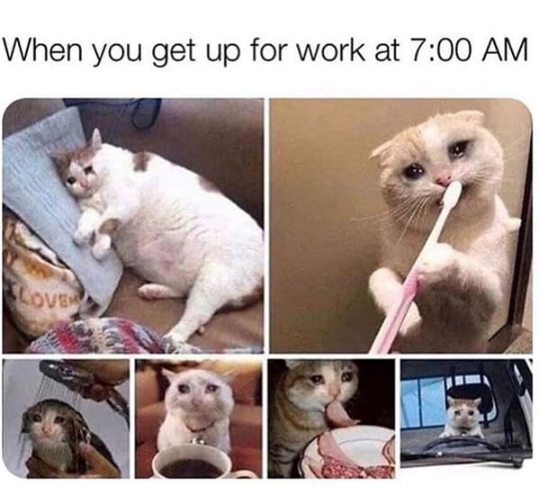 sleep memes. When you get up for work at 7:00 AM
