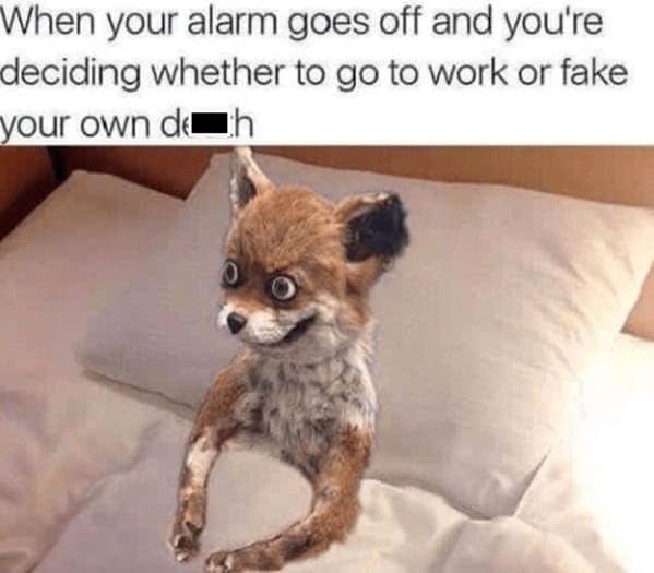 sleep memes. When your alarm goes off and you're deciding whether to go to work or fake your own d
