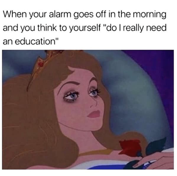 sleep memes. When your alarm goes off in the morning and you think to yourself "do I really need an education"