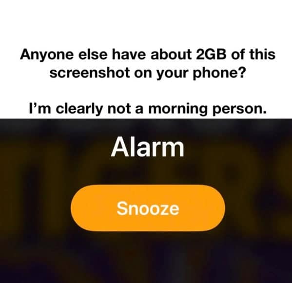 sleep memes. Anyone else have about 2GB of this screenshot on your phone? I'm clearly not a morning person.