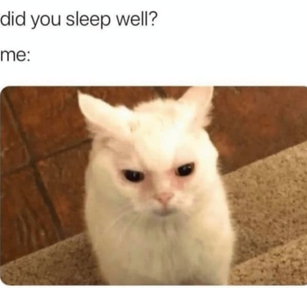 sleep memes. did you sleep well? me: