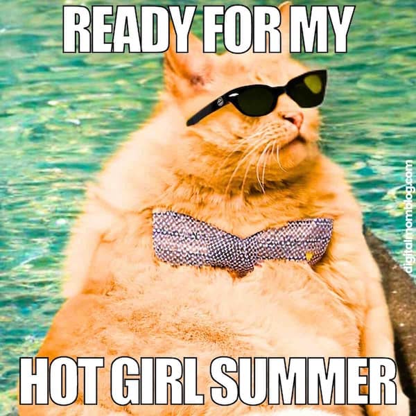 summer memes, summertime memes, summertime humor, beach memes, hot weather memes, summer fun jokes, funny summer pics