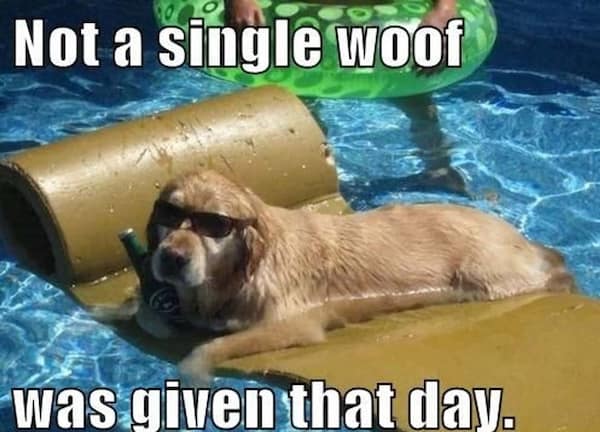 summer memes, summertime memes, summertime humor, beach memes, hot weather memes, summer fun jokes, funny summer pics