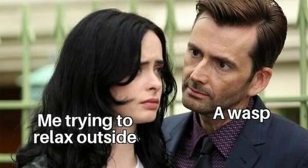 summer memes, summertime memes, summertime humor, beach memes, hot weather memes, summer fun jokes, funny summer pics