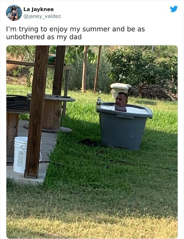 summer memes, summertime memes, summertime humor, beach memes, hot weather memes, summer fun jokes, funny summer pics