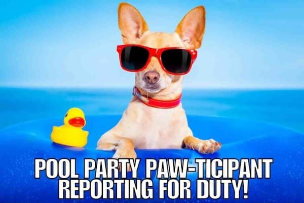 summer memes, summertime memes, summertime humor, beach memes, hot weather memes, summer fun jokes, funny summer pics