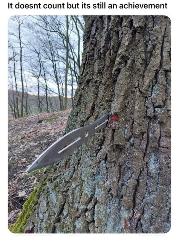 task failed successfully, Happy Accidents, Unexpected Wins, Fortunate Mishaps, Comical Blunders, Unintended Triumphs