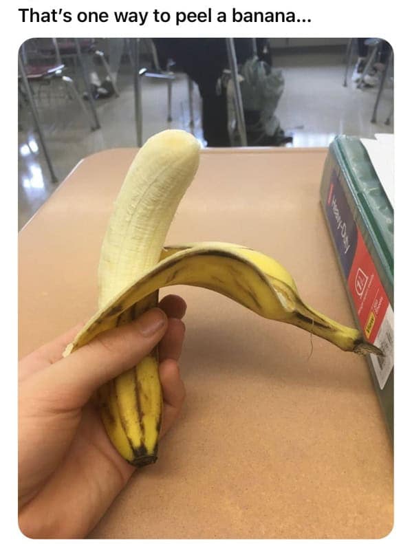 task failed successfully, Happy Accidents, Unexpected Wins, Fortunate Mishaps, Comical Blunders, Unintended Triumphs