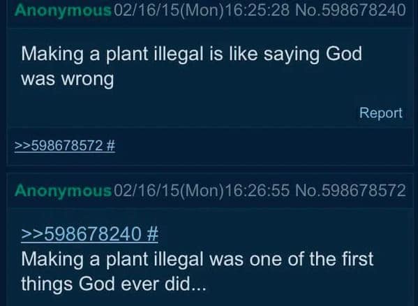 technically correct memes. Making a plant illegal was one of the first things God ever did...