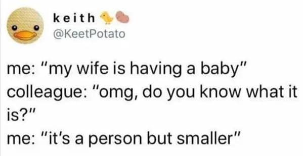 technically correct memes. me: "my wife is having a baby" colleague: "omg, do you know what it is?" me: "it's a person but smaller"