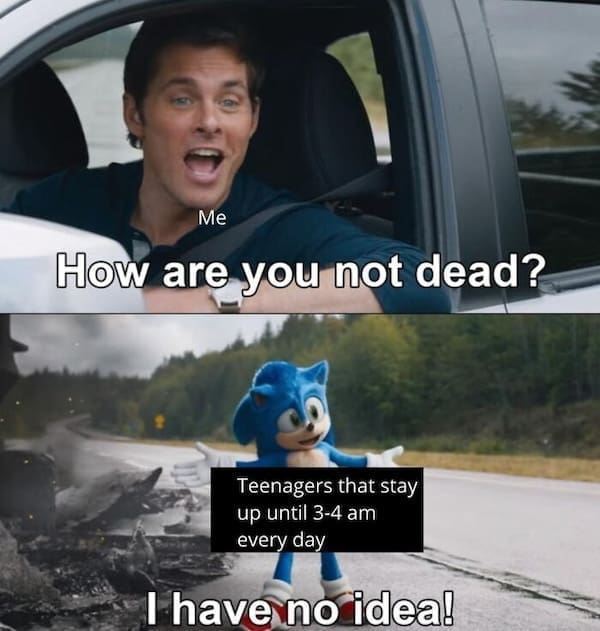 teenager memes, high school memes, adolescence humor, teenage years, secondary school memes, high school jokes