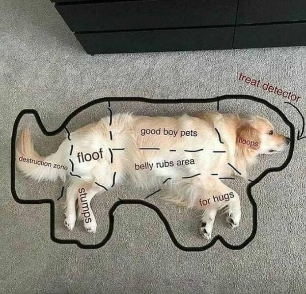 terrible maps, awful maps, calamities, misplaced mayhem, navigational nightmares