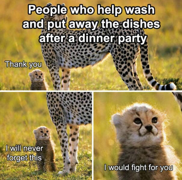 thank you memes, appreciation memes, gratitude memes, funny thank you images, thank you humor, gratitude humor, thanks memes