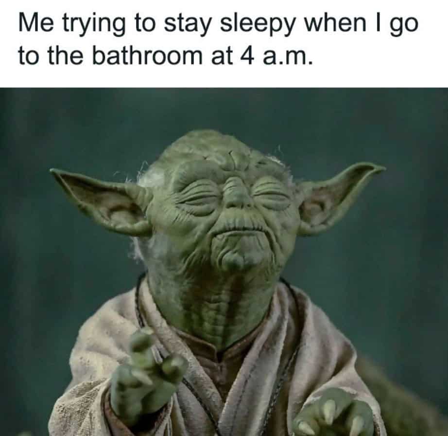 Me trying to stay sleepy when I go to the bathroom at 4 a.m.