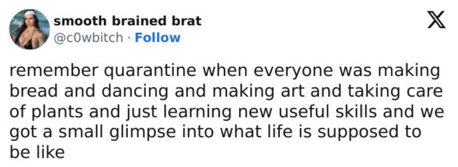 remember quarantine when everyone was making bread and dancing and making art and taking care of plants and just learning new useful skills and we got a small glimpse into what life is supposed to be like