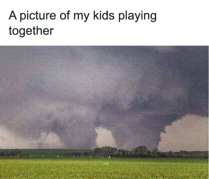toddler memes. A picture of my kids playing together