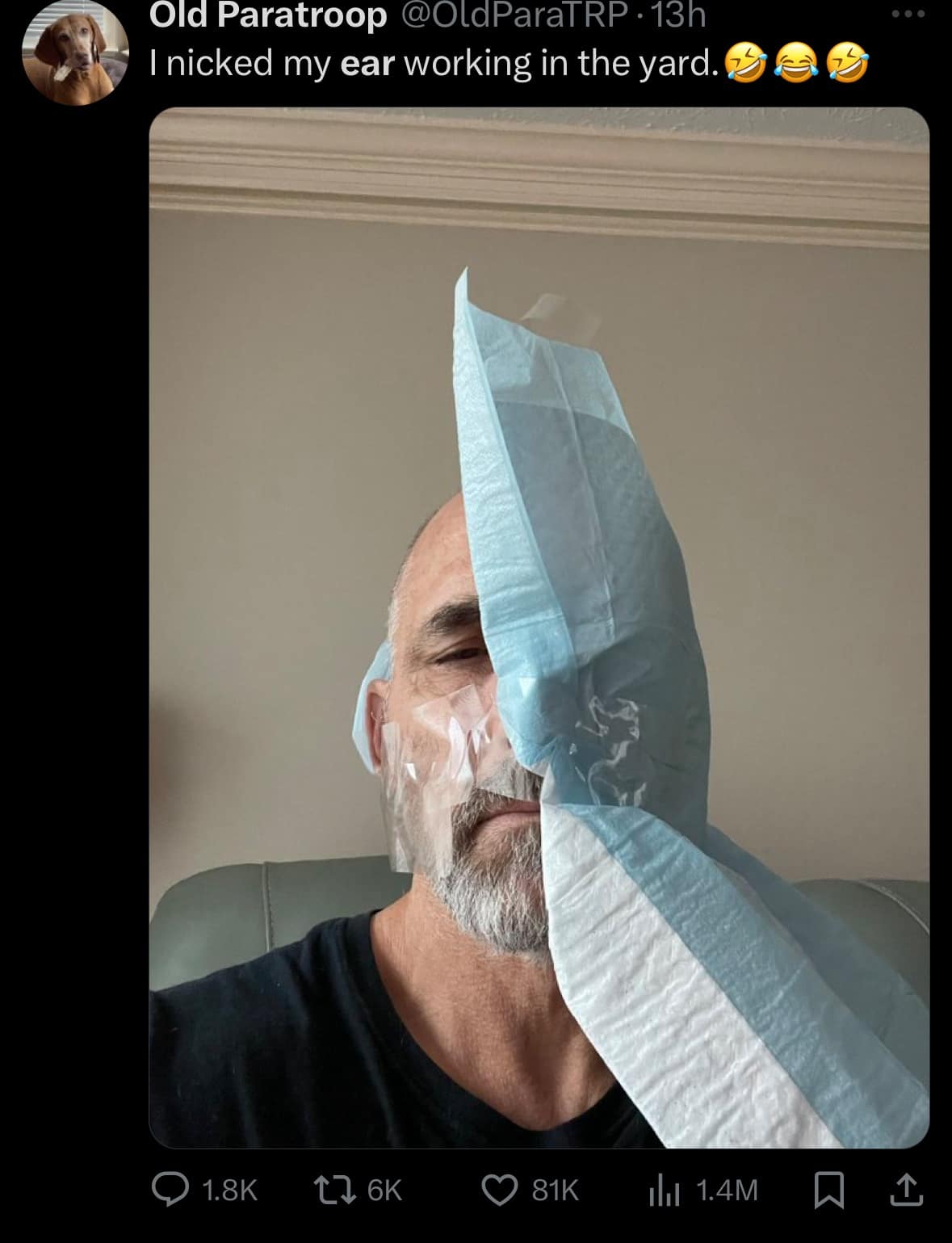 Trump ear pillow memes, trump ear bandage memes, trump ear bandage, trump ear pillow, trump ear memes, Trump RNC memes, political humor, Trump ear covering memes, Trump ear injury memes, political satire