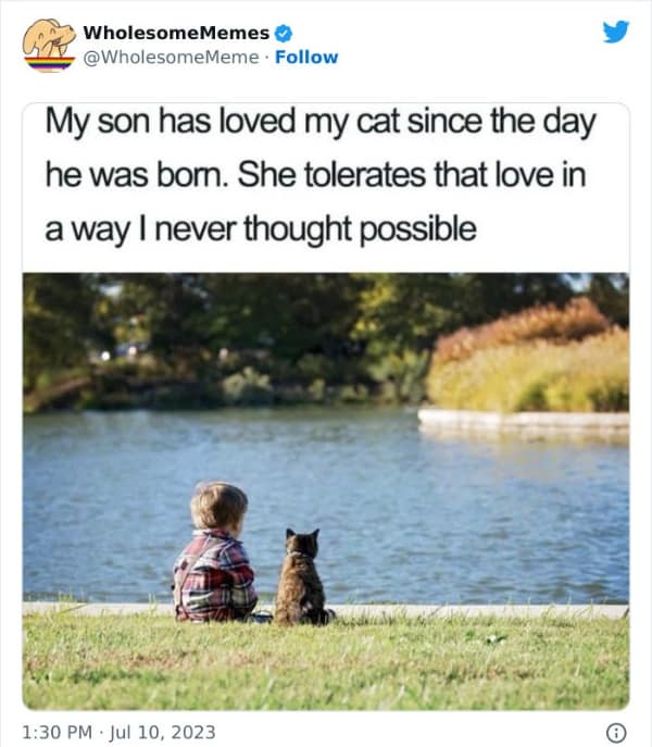 wholesome memes, heartwarming images, uplifting memes, feel-good memes, touching pictures, heartening photos, positive memes, happy memes, inspiring memes, motivational memes
