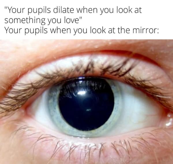 wholesome memes, heartwarming memes, uplifting memes, Feel-good memes, Positive memes, kindness memes