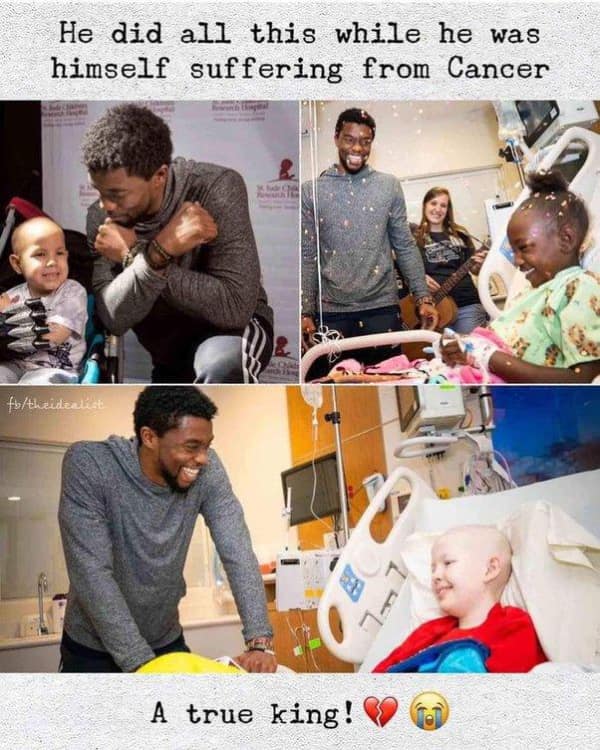 wholesome memes, heartwarming memes, uplifting memes, Feel-good memes, Positive memes, kindness memes