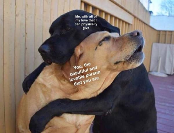 wholesome memes. Me. with all of my love that I can physically give You, the beautiful and lovable person that you are