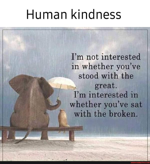 wholesome memes, heartwarming memes, uplifting memes, Feel-good memes, Positive memes, kindness memes