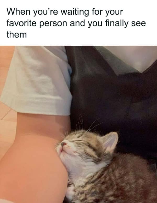 wholesome memes, heartwarming images, uplifting memes, feel-good memes, touching pictures, heartening photos, positive memes, happy memes, inspiring memes, motivational memes