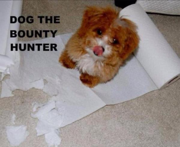 wholesome memes, heartwarming memes, uplifting memes, Feel-good memes, Positive memes, kindness memes