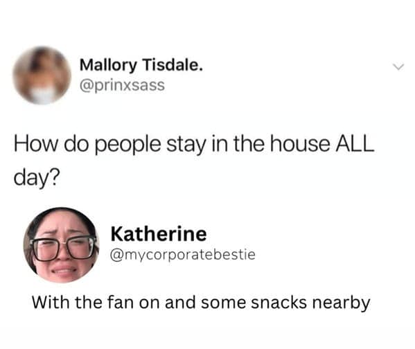 work from home memes, remote work humor, hybrid work memes, WFH jokes, remote work funnies, hybrid work laughs, work from home humor